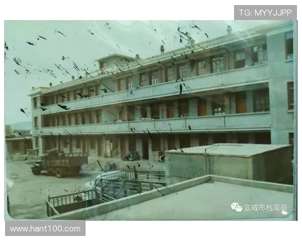 校墓处：一座城市的记忆守护者与未来引路人